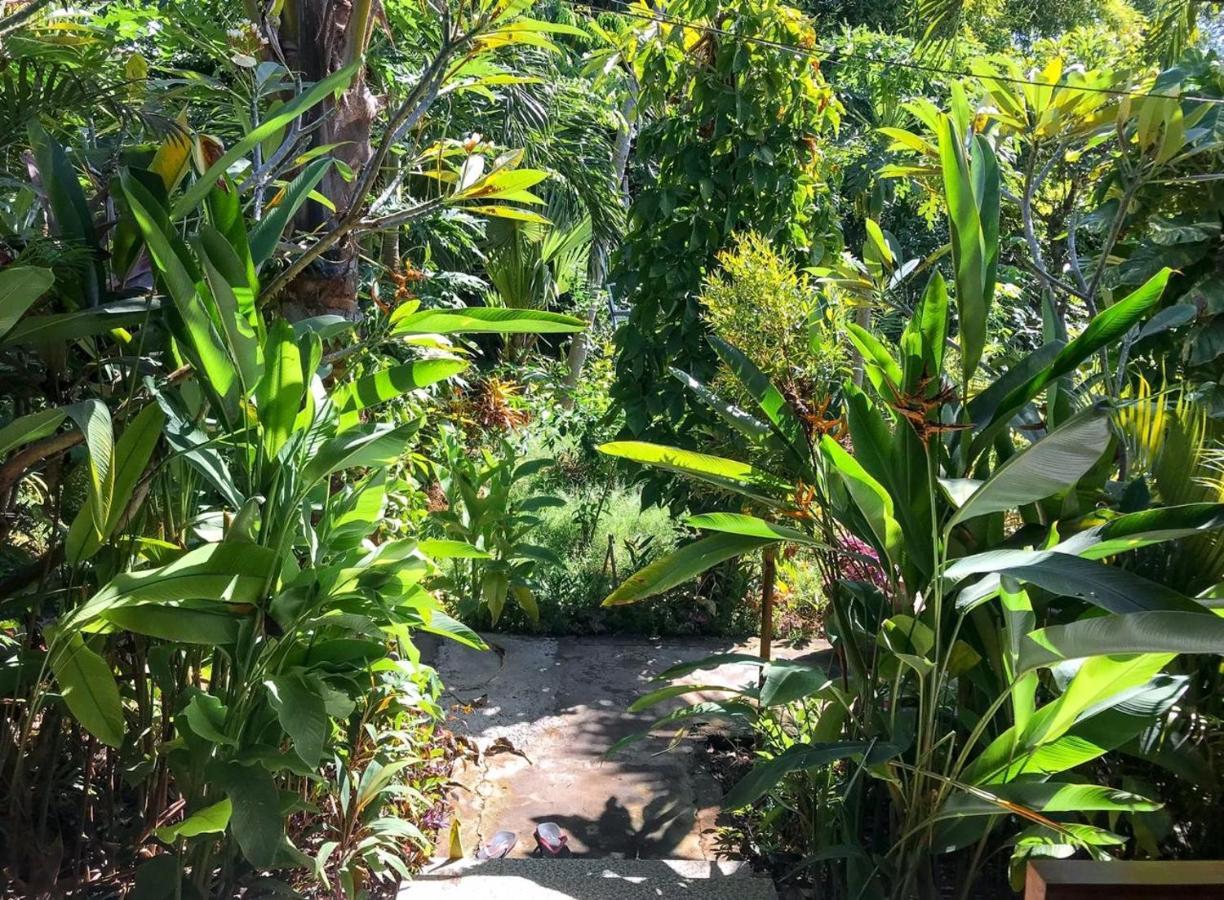 Enak Bungalow آميدْ المظهر الخارجي الصورة