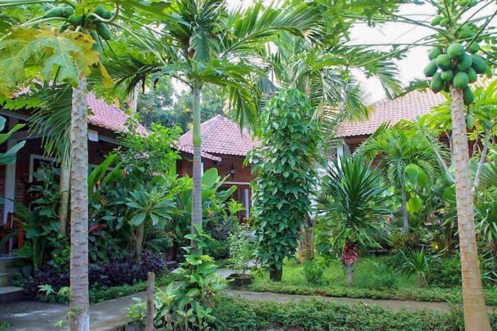 Enak Bungalow آميدْ المظهر الخارجي الصورة
